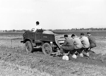 Unimog U25, model series 2010 with semi-automatic potato planter