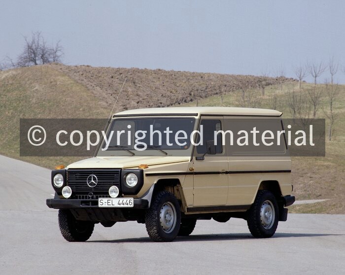 300 GD (langer Radstand), 1979 - 1991
