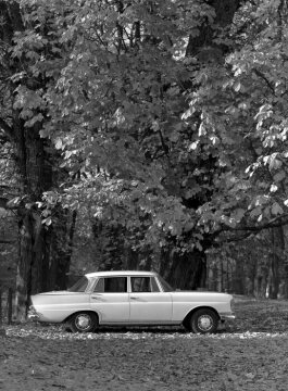 Mercedes-Benz 230 S
"Heckflossen-Mercedes" Limousine
1965 - 1968