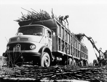 Mercedes-Benz L 2219 
Holztransporter mit Anhänger
1980