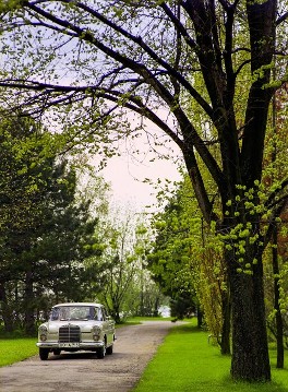 "Heckflossen-Mercedes" der Baureihe W 110