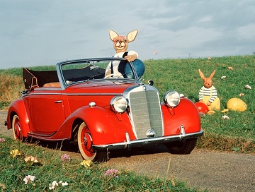 Mercedes-Benz Typ 170 S Cabriolet A - W 136, 1949-1951.
Ostern - Fest kleiner und großer Kinderträume
Welcher Erwachsene erinnert sich nicht noch gerne daran, als er selber überzeugt -„... wirklich Mutti, ich habe ihn gesehen!"- die Existenz des Osterhasen beteuerte, wobei jeweils das gefundene, echte Osternest der eindeutigen Beweisführung diente?
Wundersames widerfuhr, wie er glaubhaft versicherte, auch Richard H., (38), aus Esslingen. Erst jüngst entdeckte er sich angeblich, zwar noch in kindlichem Alter, aber schon mit Damen, auf einem Dia. Besondere Ausdruckskraft verleiht dem Motiv des offensichtlich traumhaften Osterausfluges mit einem Mercedes-Benz-Tourer mit Kompressor von 19?? die scheinbare Präsenz des Osterhasen am Steuer!
Dies würde auch erklären, warum der automobile Klassiker bar jeglicher polizeilicher Kennzeichnung durch die Landschaft rollen durfte. Es spricht manches dafür, daß es eben doch immer wieder Wunder gibt. Selbst wenn sie dem erhalten gebliebenen Gemüt des Kindes im Manne hinter d